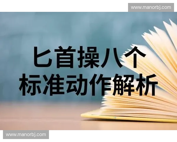 动作分解解析训练方法与技巧全面指导方案